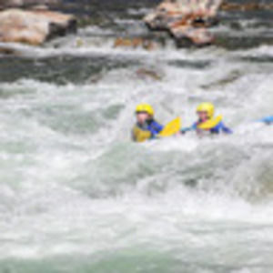 Meet your Posher, Ella